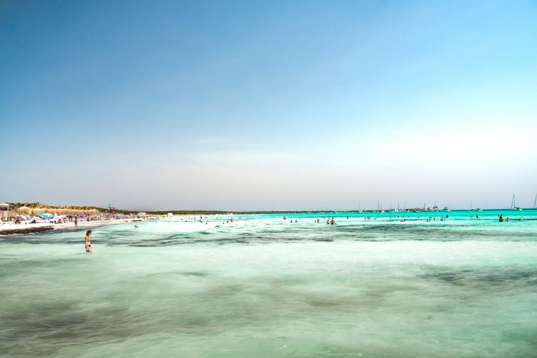 people in the sea beside beach