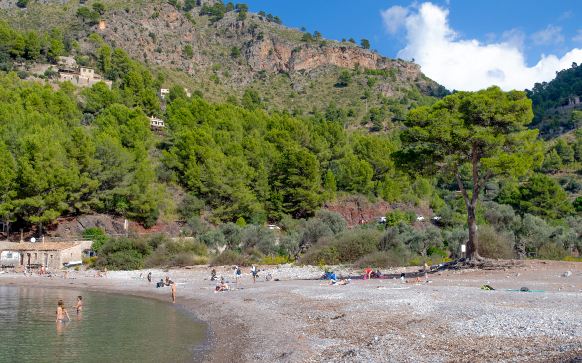Cala tuent