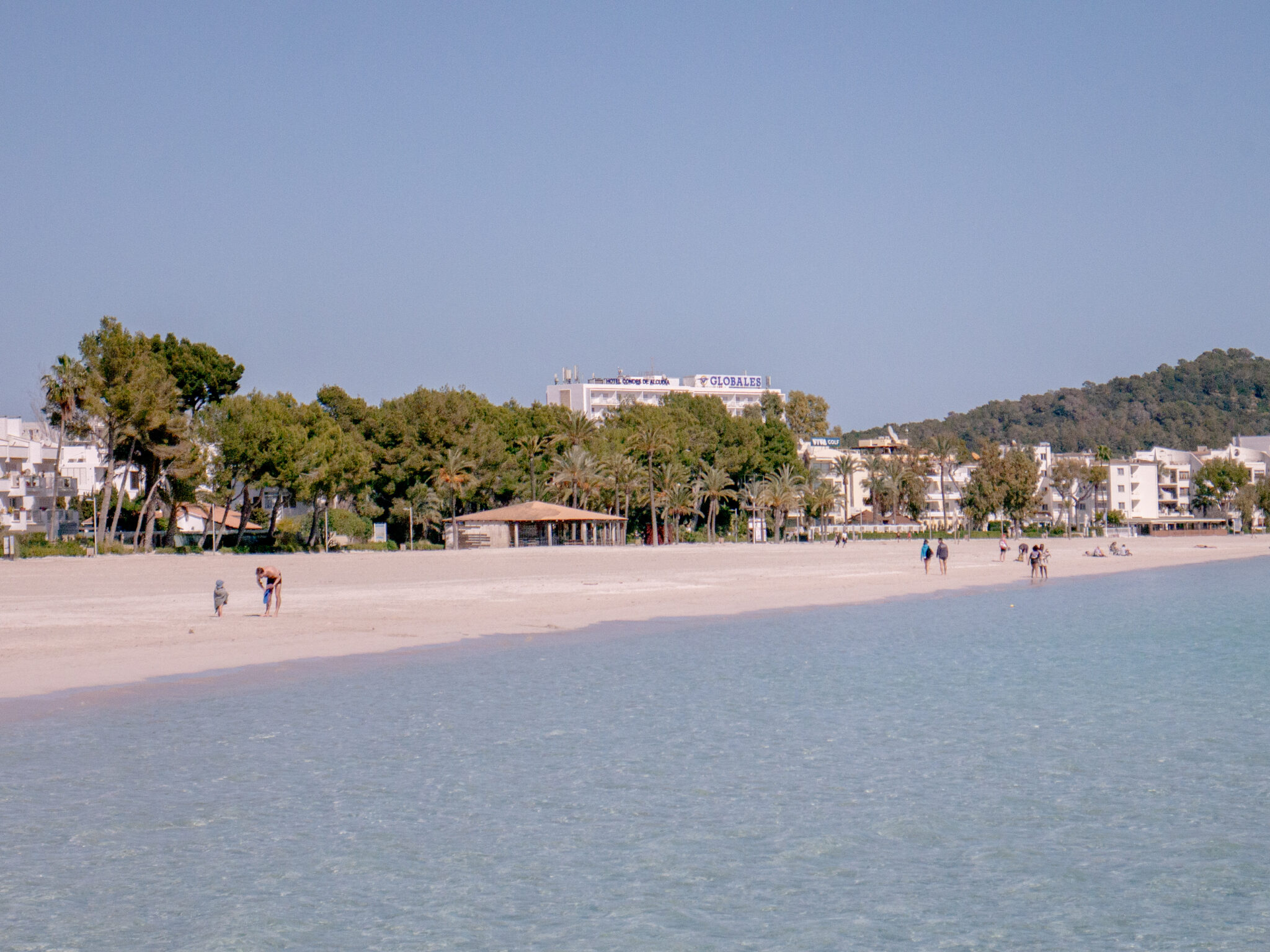 Playa de alcudia in mallorca