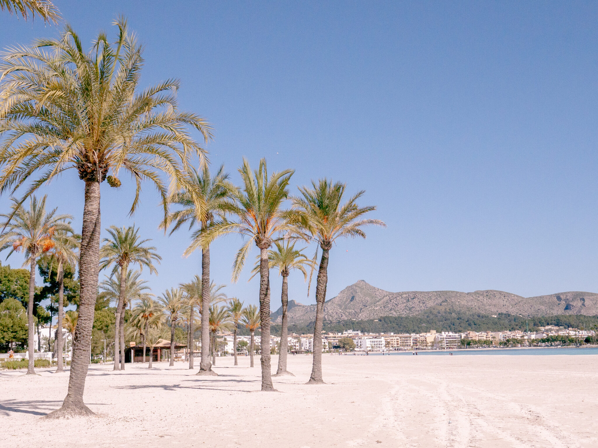 Alcudia beach