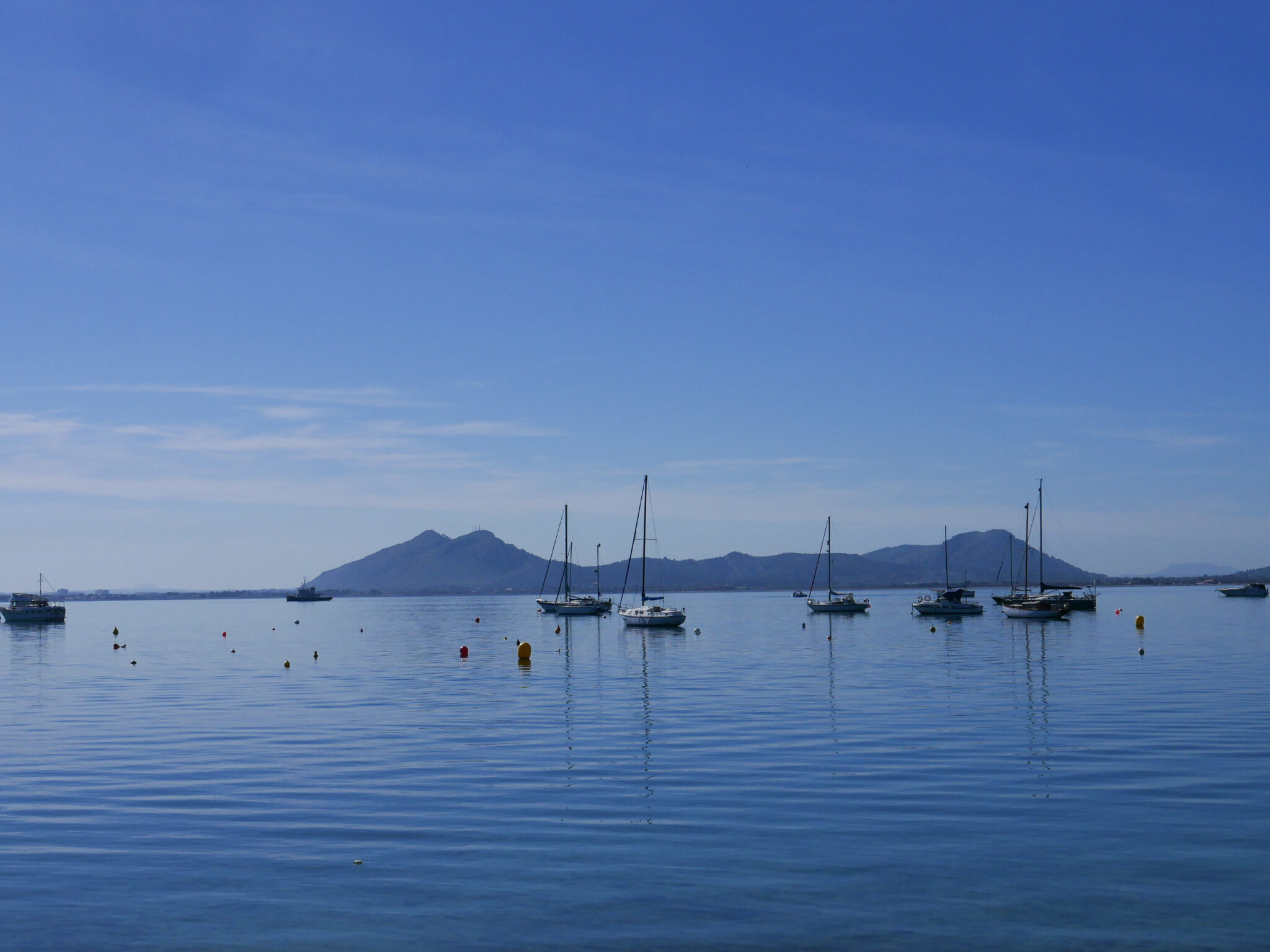 Port de pollensa in mallorca