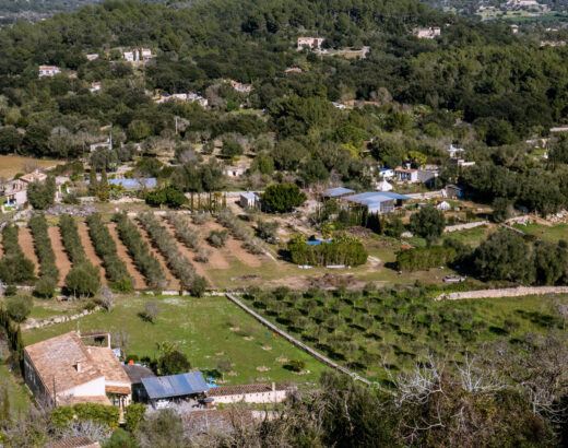 orient in mallorca