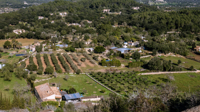 orient in mallorca