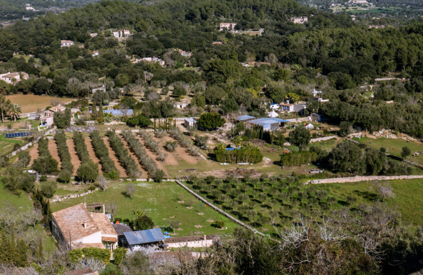 orient in mallorca