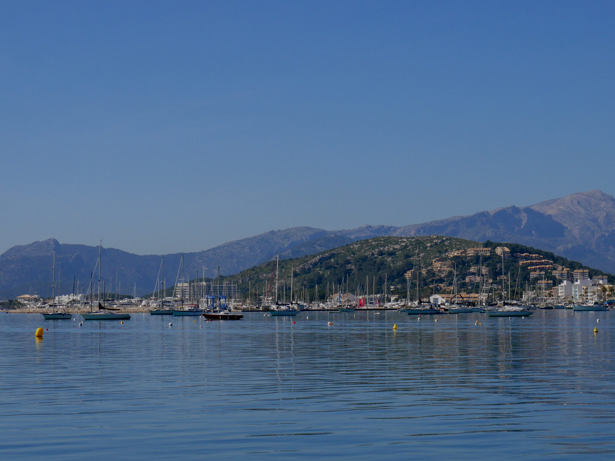 Port de pollensa in mallorca