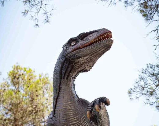 dinosaurland na majorce