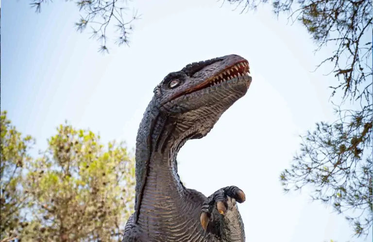 dinosaurland na majorce