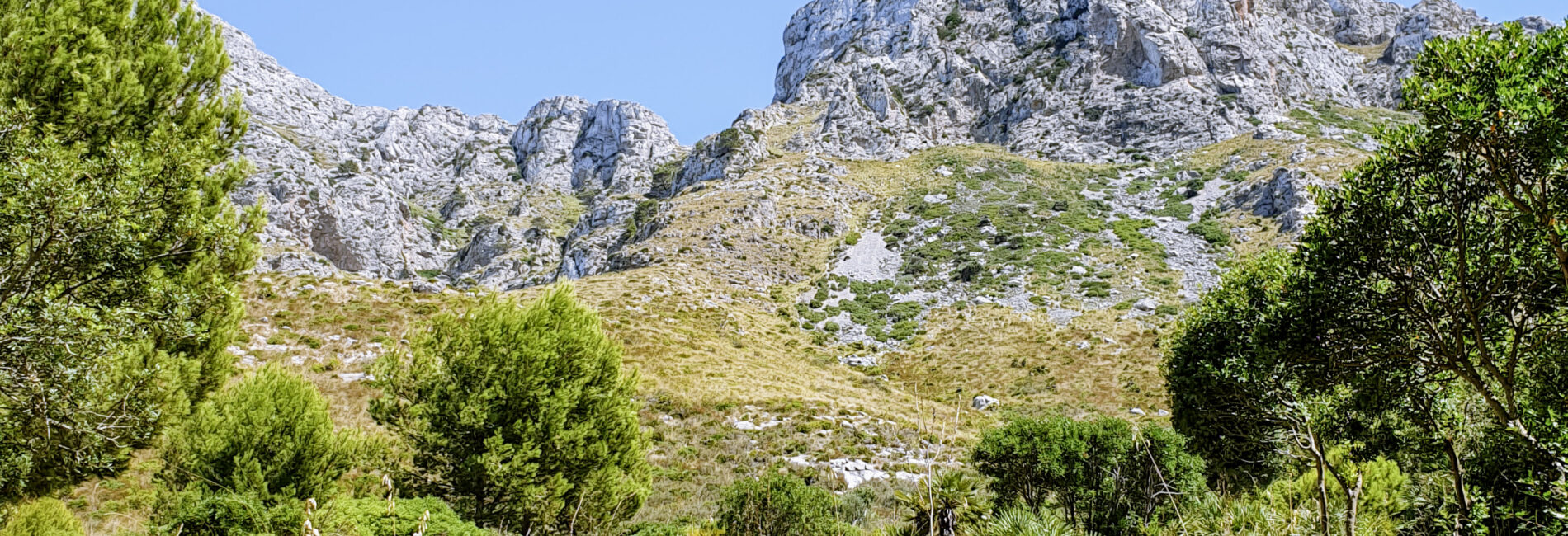 Platja de Son Bunyola na Majorce – dzikie, zachodnie wybrzeże