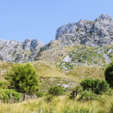 Platja de Son Bunyola NA MAJORCE