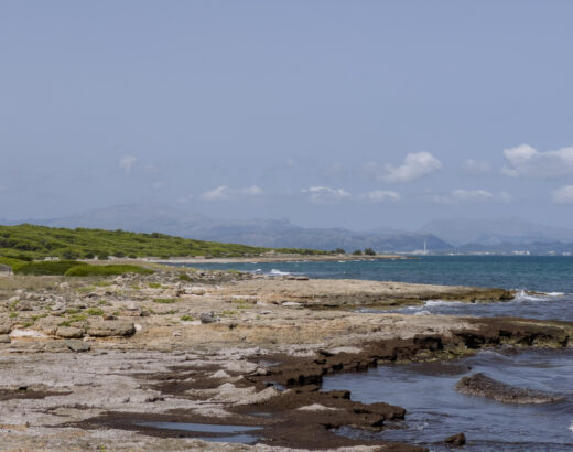 son serra de marina