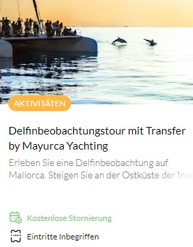 Delfinbeobachtungstour-mit-Transfer-by-Mayurca-Yachting