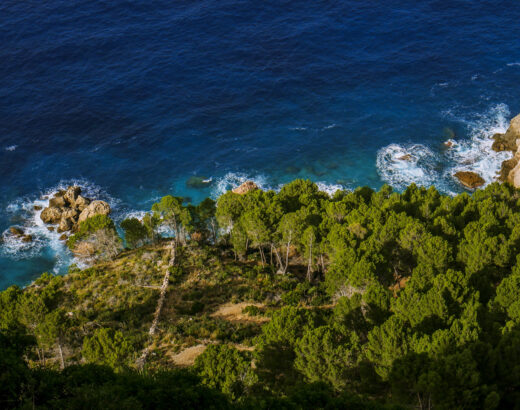 Mirador de Ses Barques