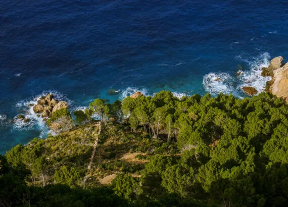 Mirador de Ses Barques