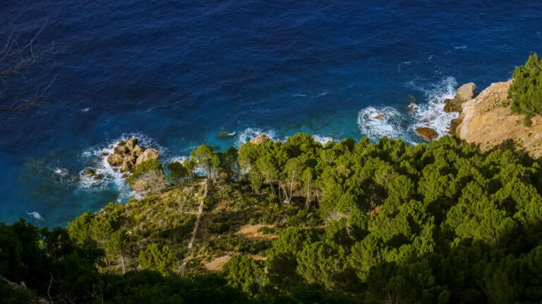 Mirador de Ses Barques