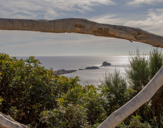 mirador el toro