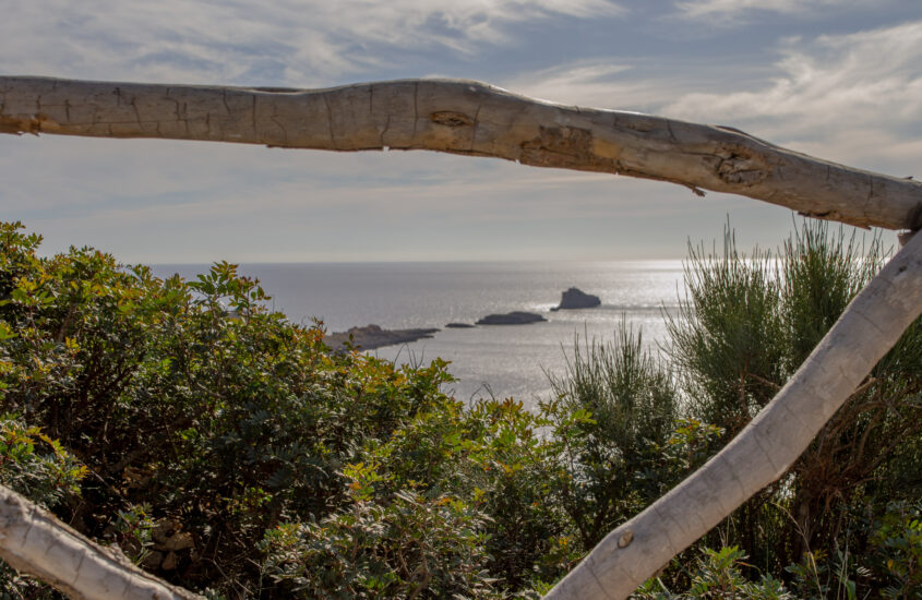 mirador el toro