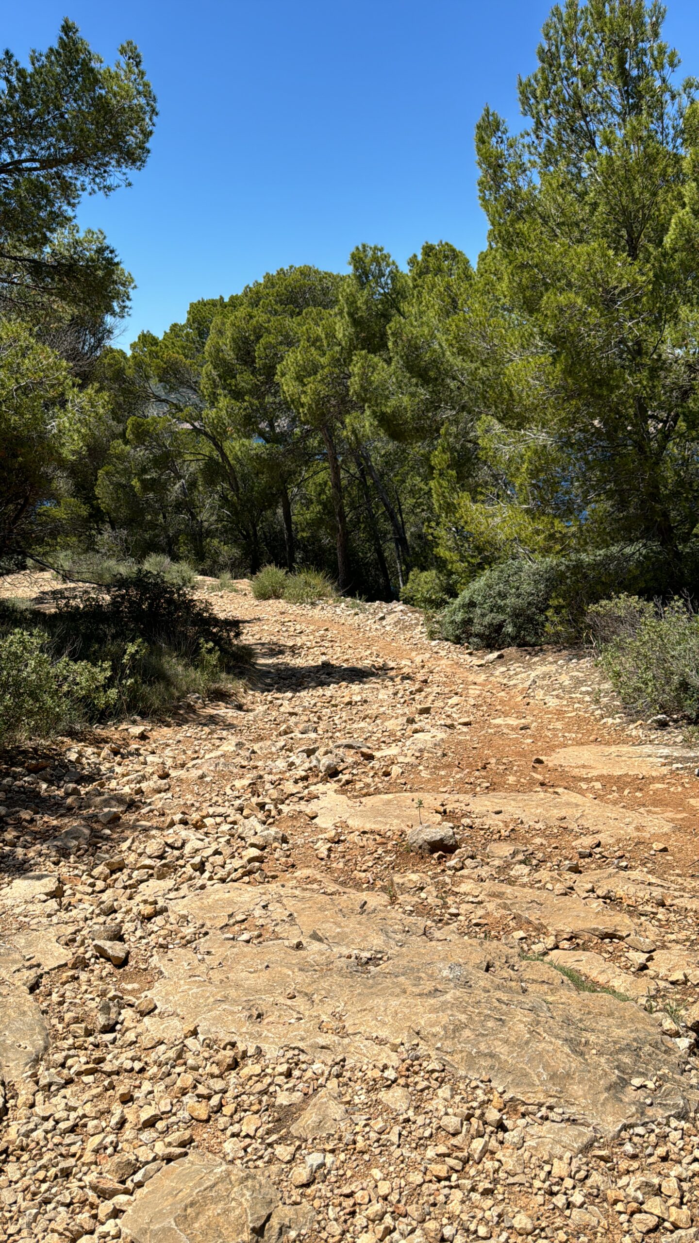 Mirador La Trapa